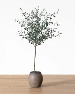 Faux 72" Olive Tree With Ceramic Pot