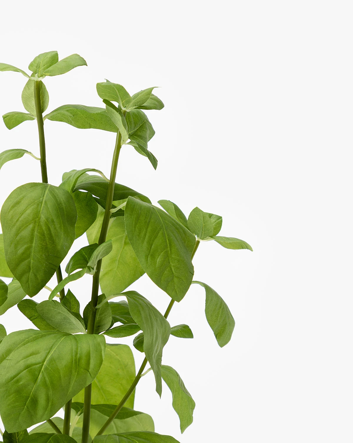 Faux Basil Drop-In - Image 4