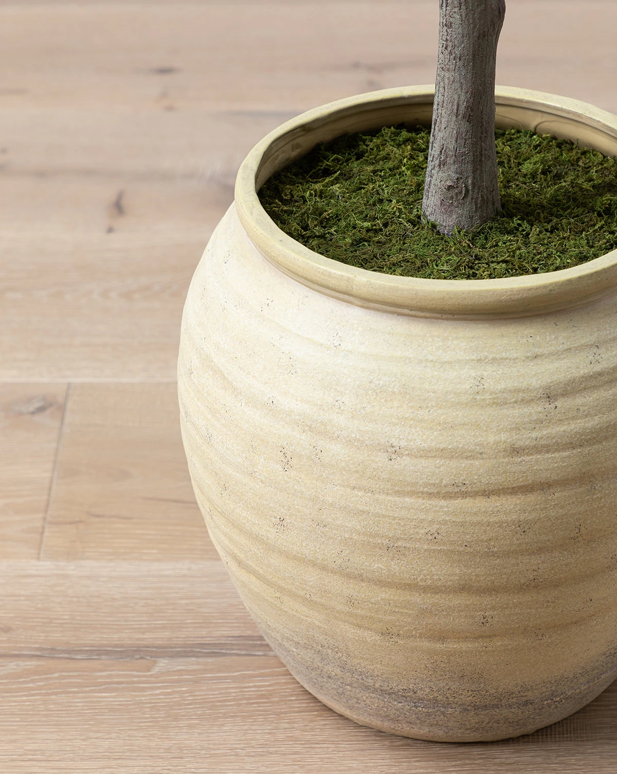 Faux Japanese Quince Tree - Image 6