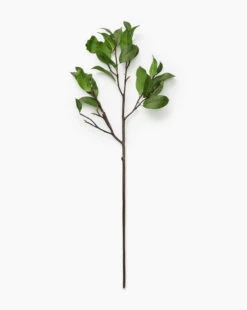 Faux Laurel Leaf Stem