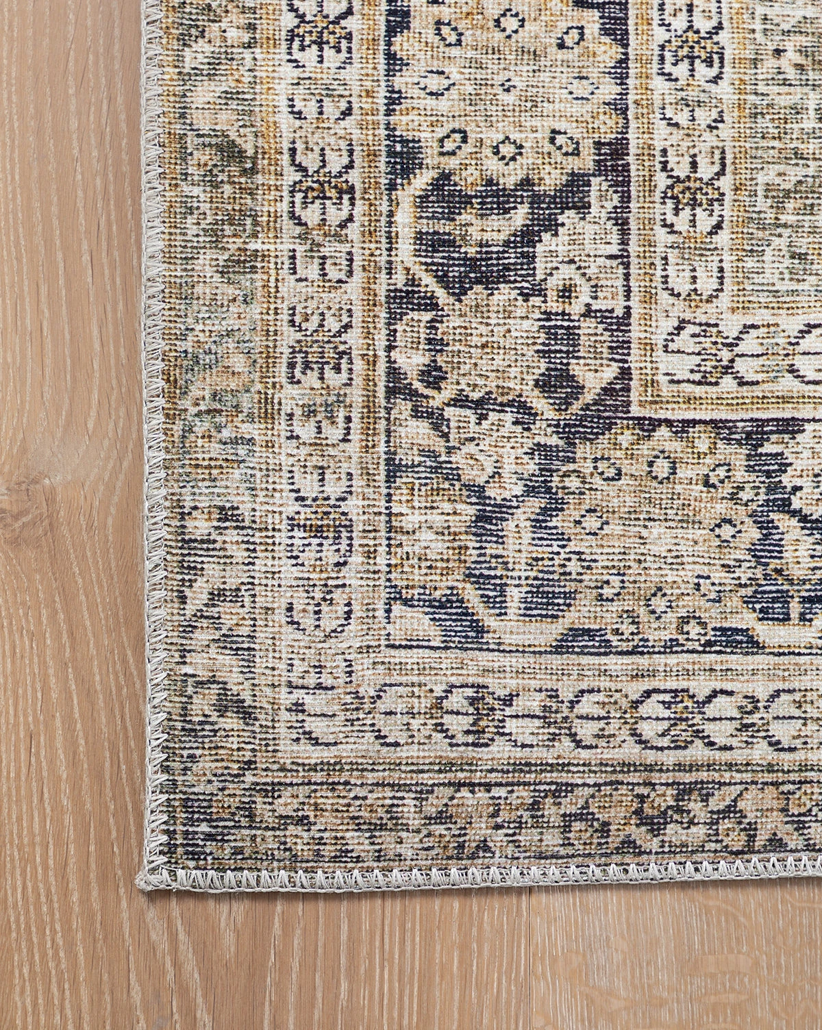Isameta Rug - Image 4