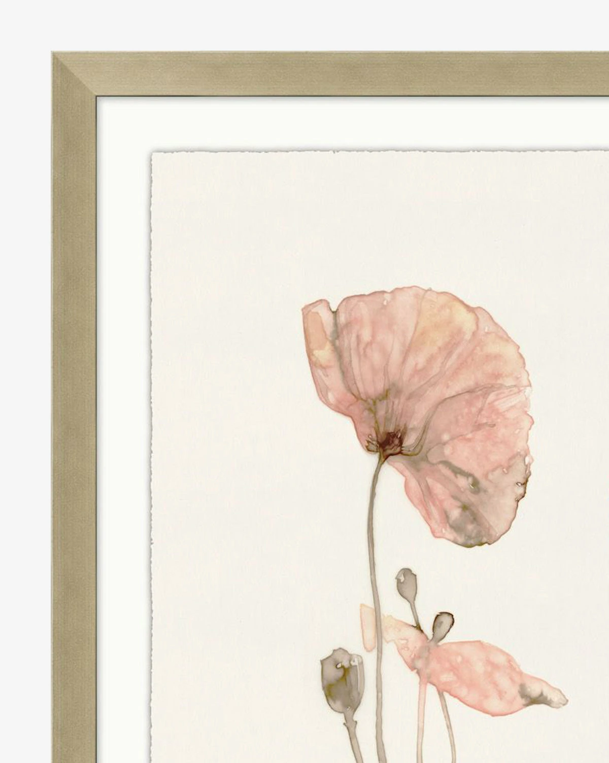 Pink Blooming Flowers - Image 2