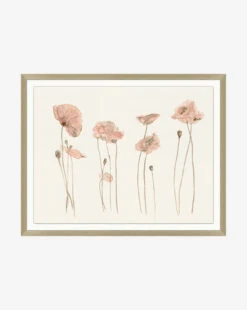 Pink Blooming Flowers