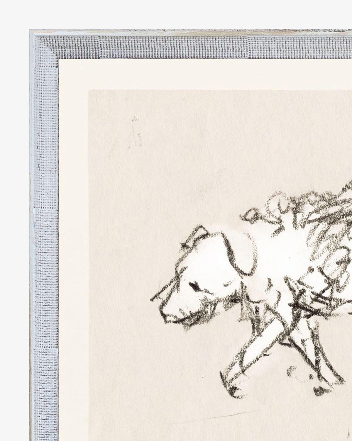 Shabby Dog - Image 2