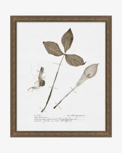 Subdued Botanicals III