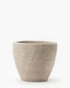 Textured Concrete Pot