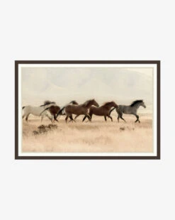 Wild Horses